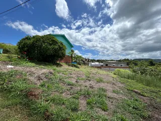 Vista externa de uma propriedade com vegetação densa no primeiro plano.