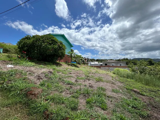 Vista externa de uma propriedade com vegetação densa no primeiro plano.