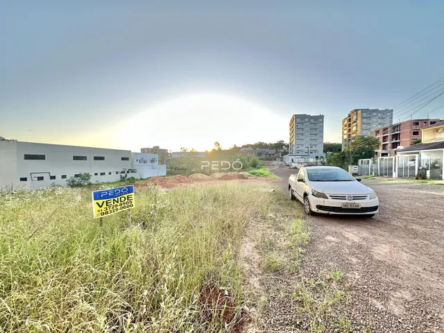 Vista externa de um terreno com vegetação alta e edifícios ao fundo.