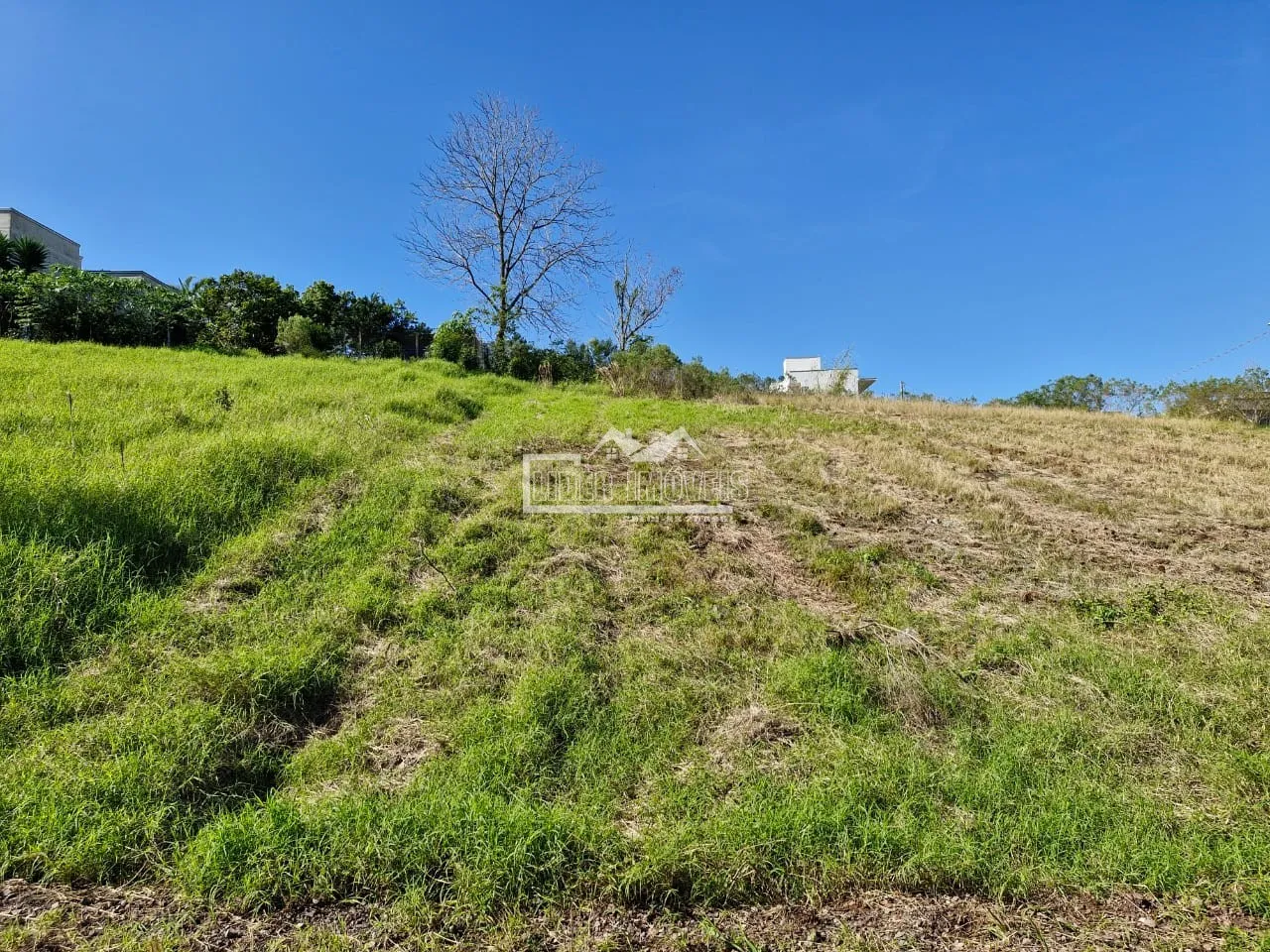 Terreno, foto 1