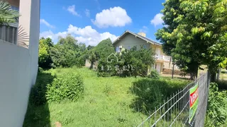 Terreno, foto 2