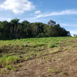 Paisagem de campo seco com vegetação no fundo sob um céu azul.