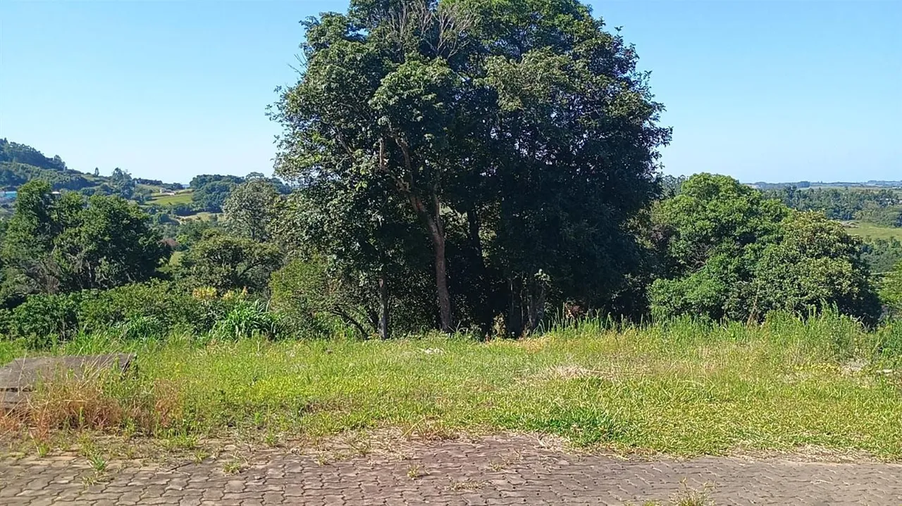 Terreno, foto 1