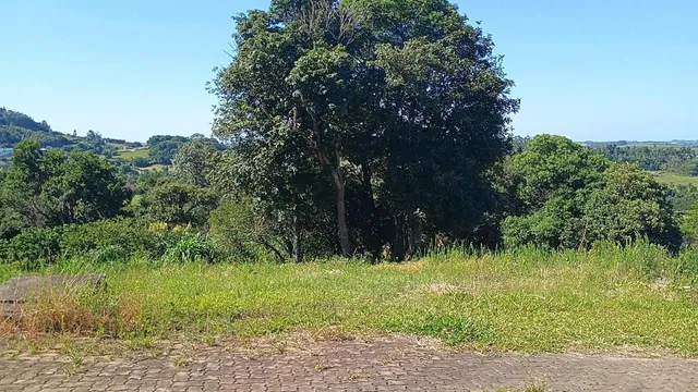 Terreno