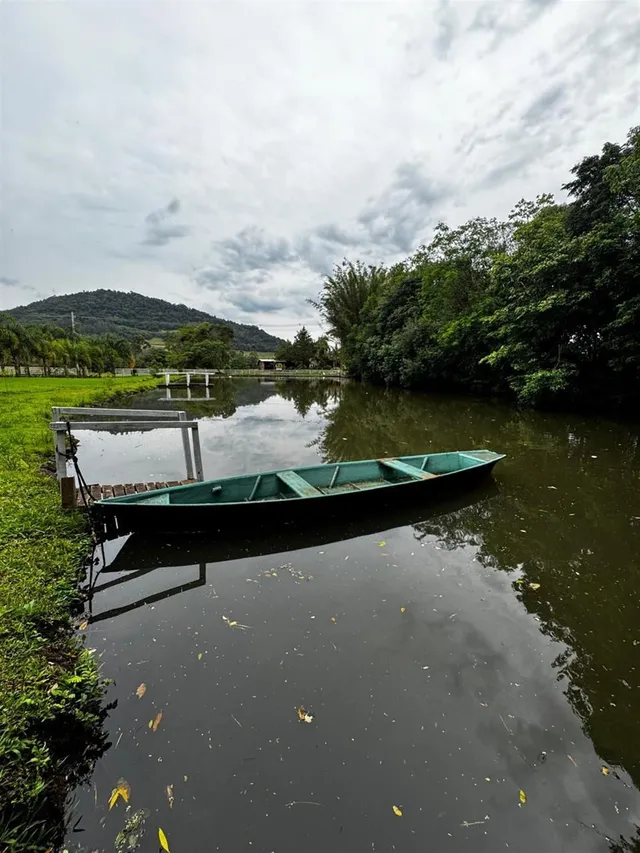 Área rural com 3 dormitórios, foto 4
