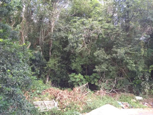Terreno, foto 3