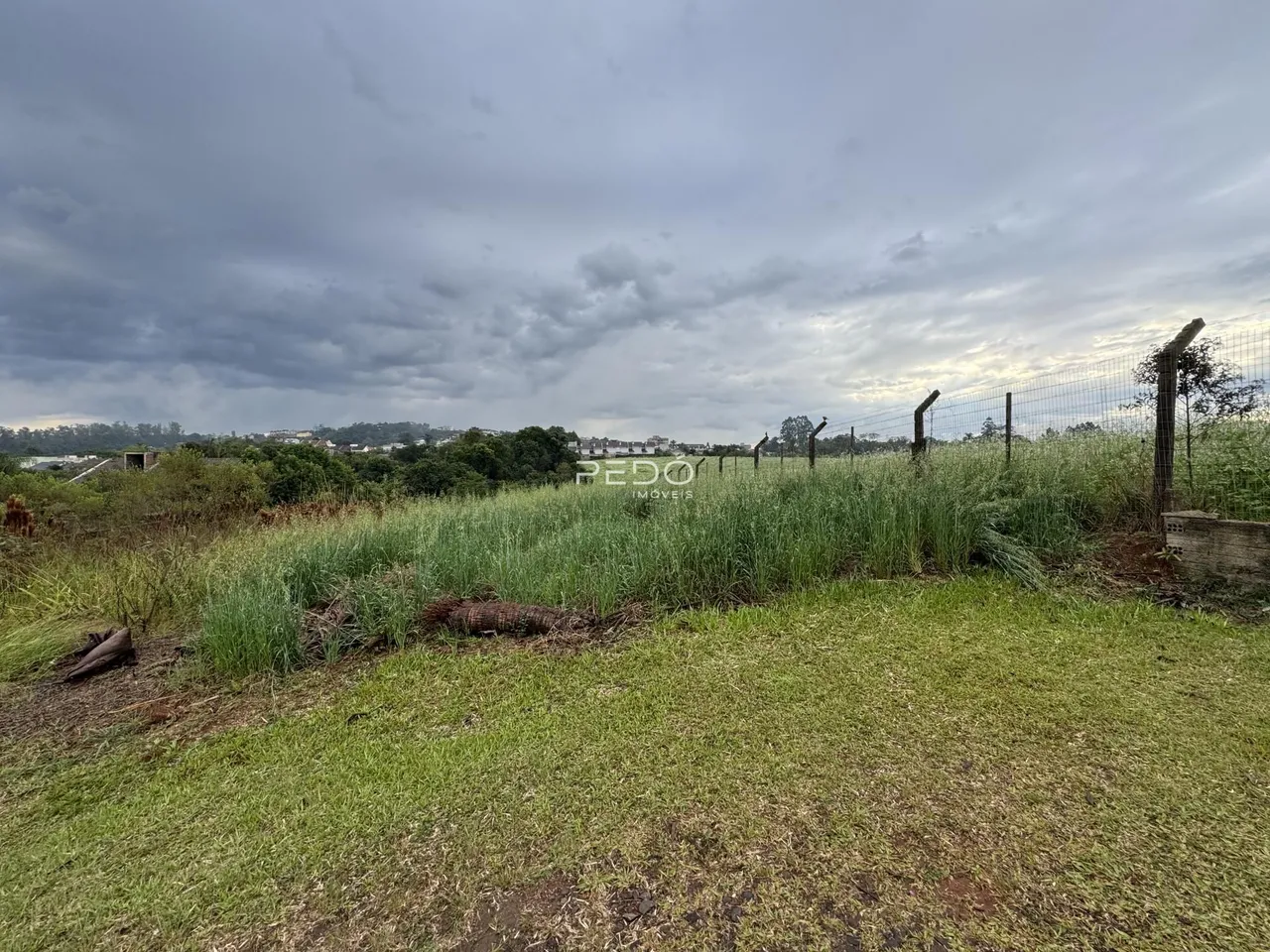 Vista da propriedade com vegetação alta e cerca no fundo.