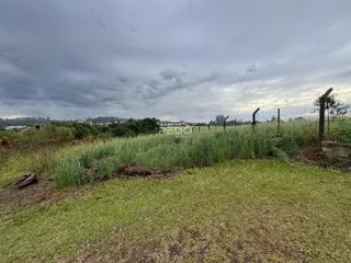 Vista da propriedade com vegetação alta e cerca no fundo.