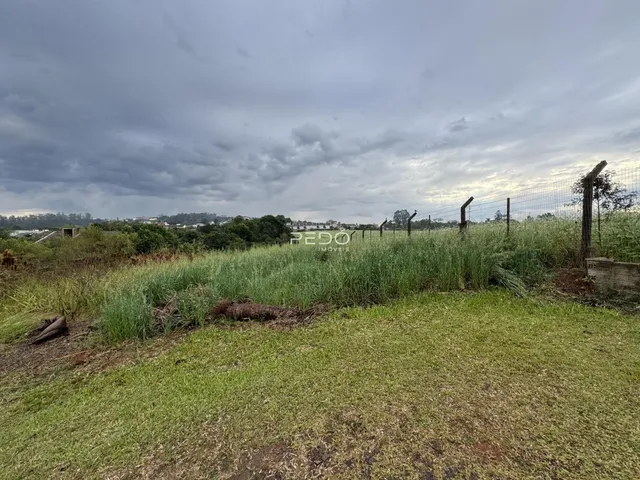 Vista da propriedade com vegetação alta e cerca no fundo.