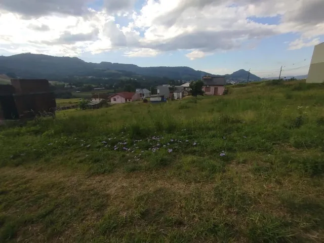 Terreno