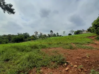 Área rural com 4 dormitórios, foto 4