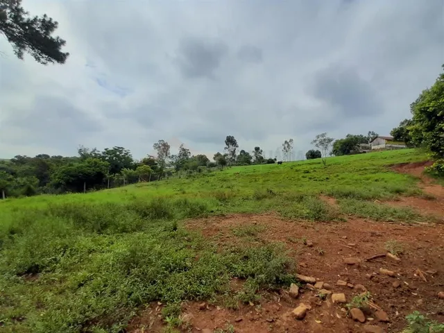 Área rural com 4 dormitórios, foto 4