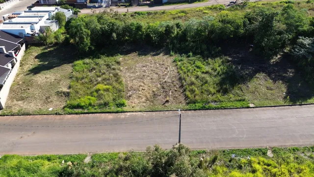 Vista aérea de um terreno com vegetação densa ao lado de uma estrada.