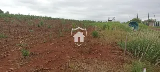 Terreno, foto 4