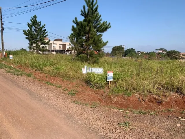 Terreno