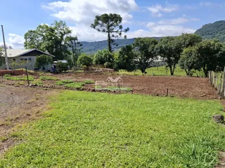 Terreno, foto 6