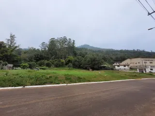 Terreno, foto 2