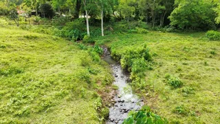 Paisagem externa com grama verde e um pequeno riacho em uma área de campo.