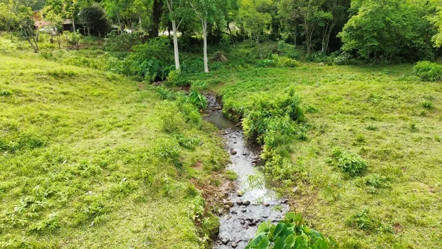 Paisagem externa com grama verde e um pequeno riacho em uma área de campo.