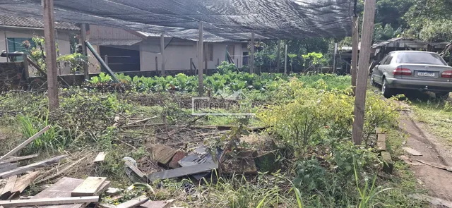 Terreno, foto 5