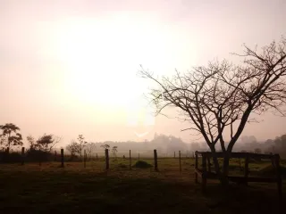 Área rural com 3 dormitórios, foto 37