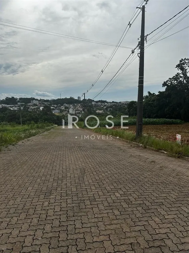Terreno, foto 3