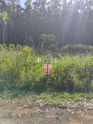 Terreno, foto 3