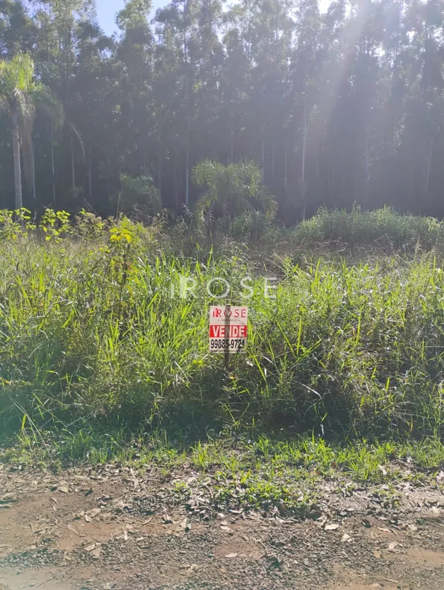 Terreno, foto 3