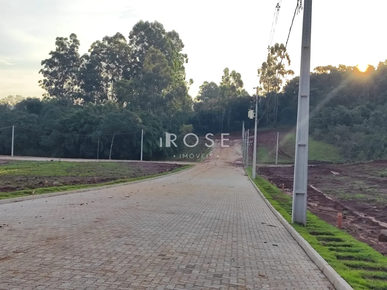 Terreno, foto 1