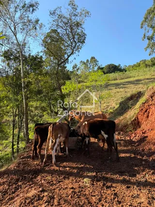 Área rural, foto 22
