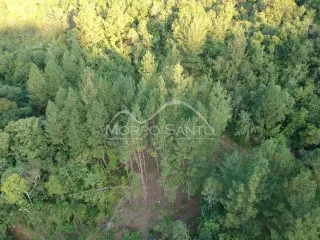 Área rural, foto 3