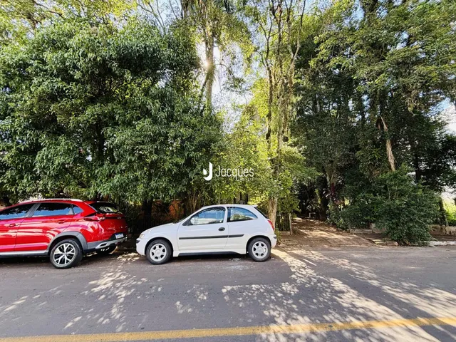 Dois carros estão estacionados em uma rua arborizada.