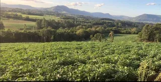 Área rural com 1 dormitório, foto 3
