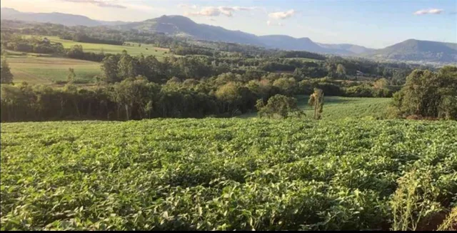 Área rural com 1 dormitório, foto 3