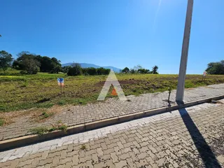 Terreno, foto 3