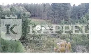 Paisagem de campo com vegetação densa em uma área externa.