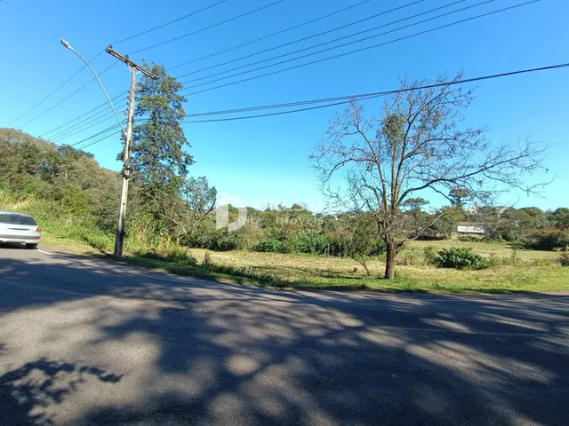 Vista de uma estrada com vegetação e campo ao fundo.