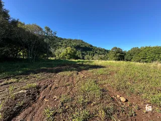Paisagem de campo com vegetação densa e grama rala.
