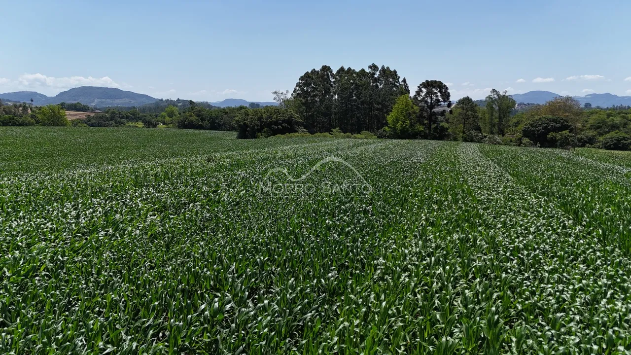 Vista aérea de um campo de cultivo verde sob um céu azul claro com colinas ao fundo.