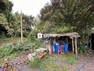 Terreno, foto 24