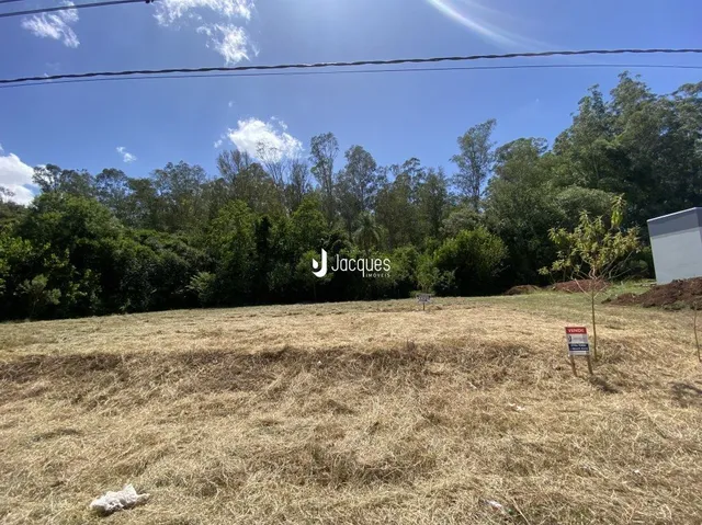 Terreno, foto 3