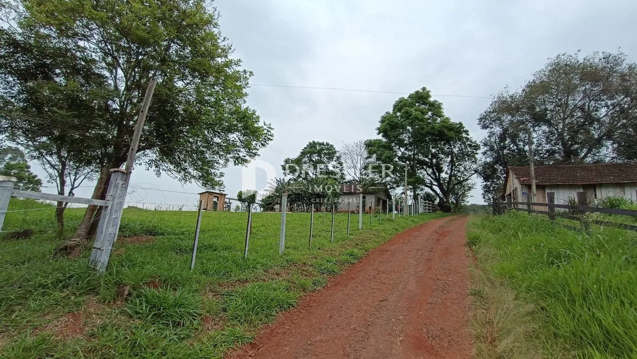 Área rural com 4 dormitórios, foto 1