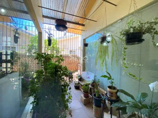Vista de uma área interna com acesso a um pátio externo com muitas plantas.