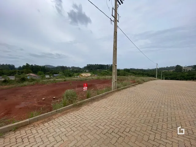 Vista da propriedade mostrando uma estrada de terra e vegetação ao longo de uma cerca de concreto.