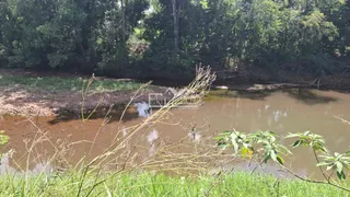 Terreno, foto 11