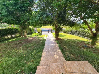 Vista de um jardim com um caminho de pedras que se estende pela grama.
