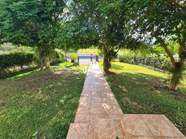 Vista de um jardim com um caminho de pedras que se estende pela grama.