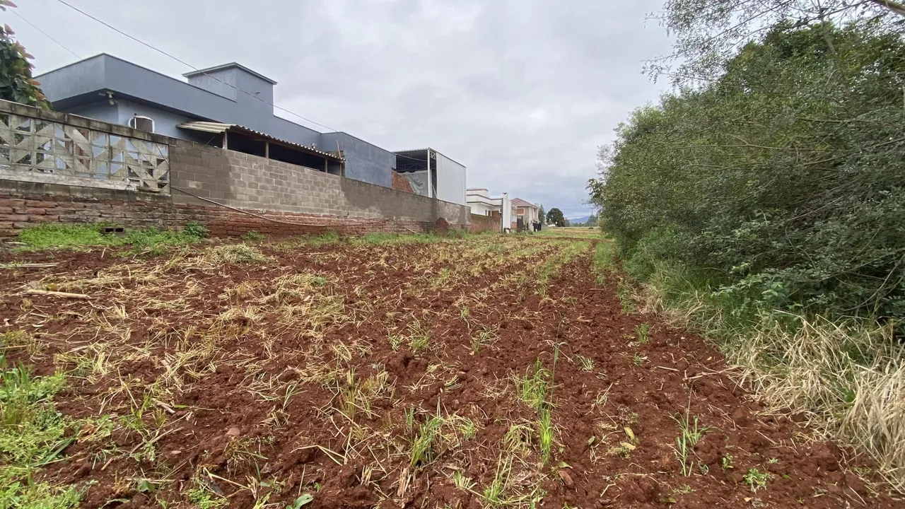 Terreno, foto 1