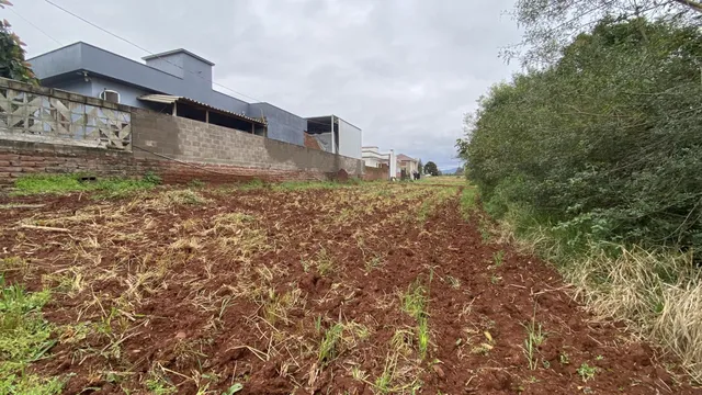Terreno