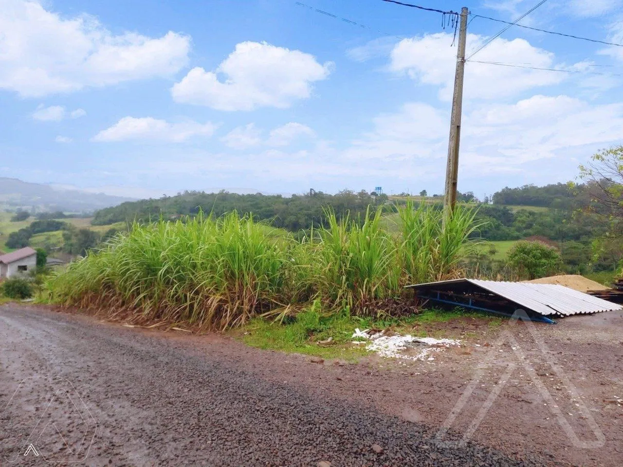 Terreno, foto 1
